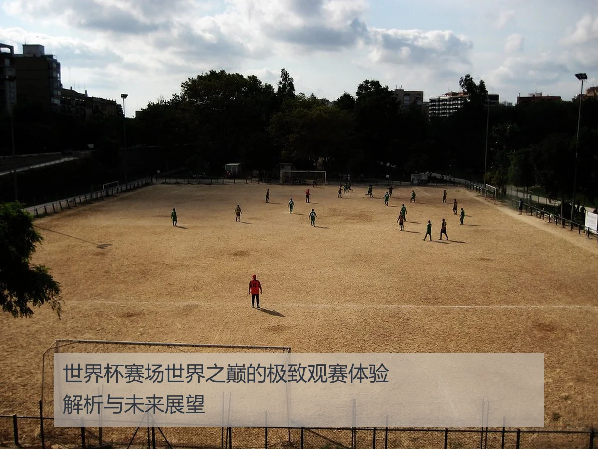 世界杯赛场世界之巅的极致观赛体验解析与未来展望
